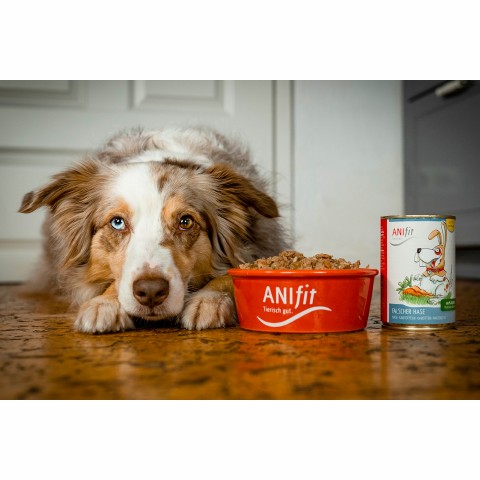 Hund Hundefutter Nassfutter Falscher Hase 810g 6 Stück -3- Anifit
