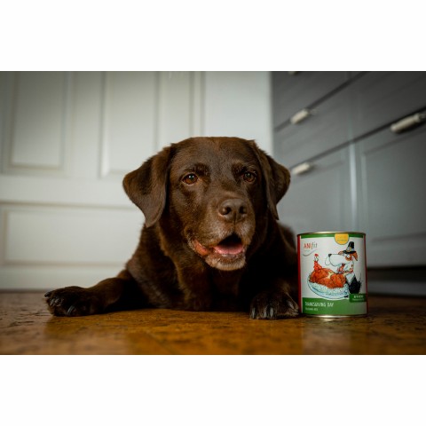Hund Hundefutter Nassfutter Thanksgiving Day 810g 6 Stück -6- Anifit